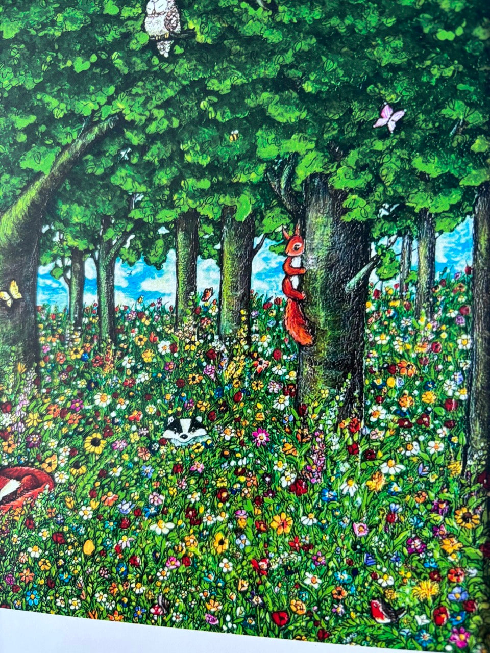 Art Print~ Summer Dreaming