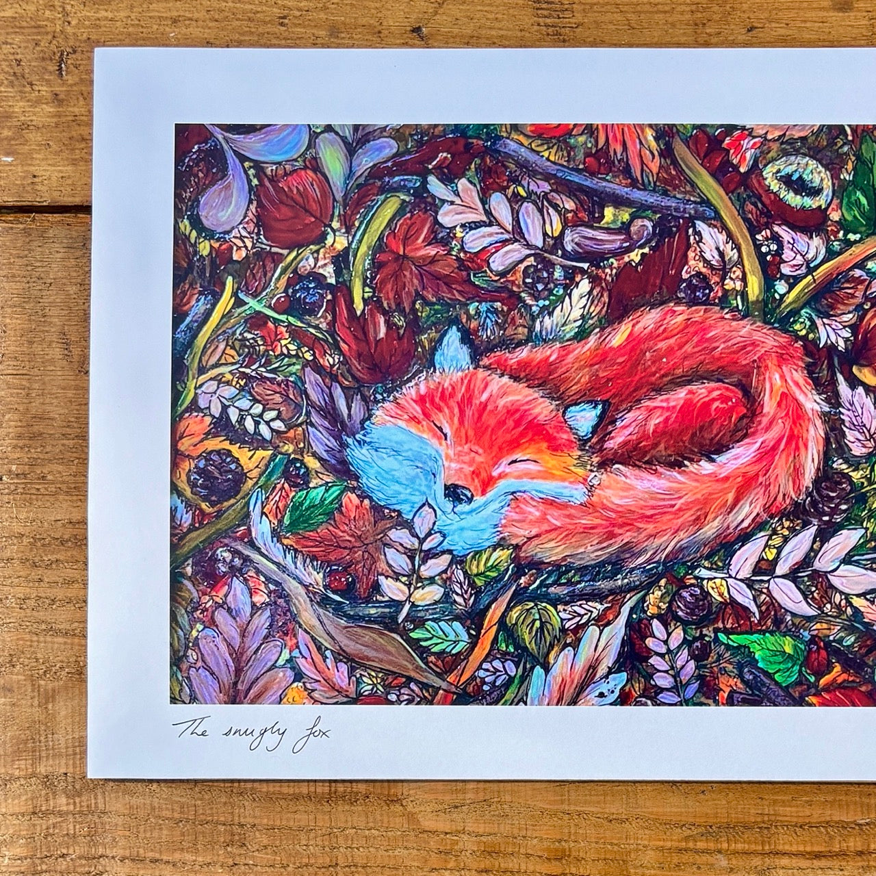 Art Print~ The Snugly Fox