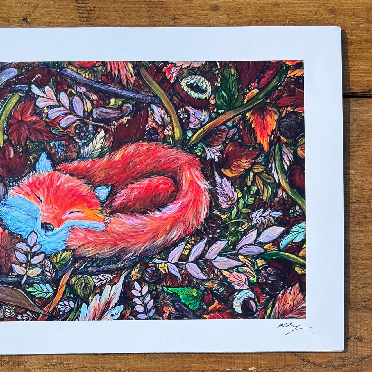 Art Print~ The Snugly Fox