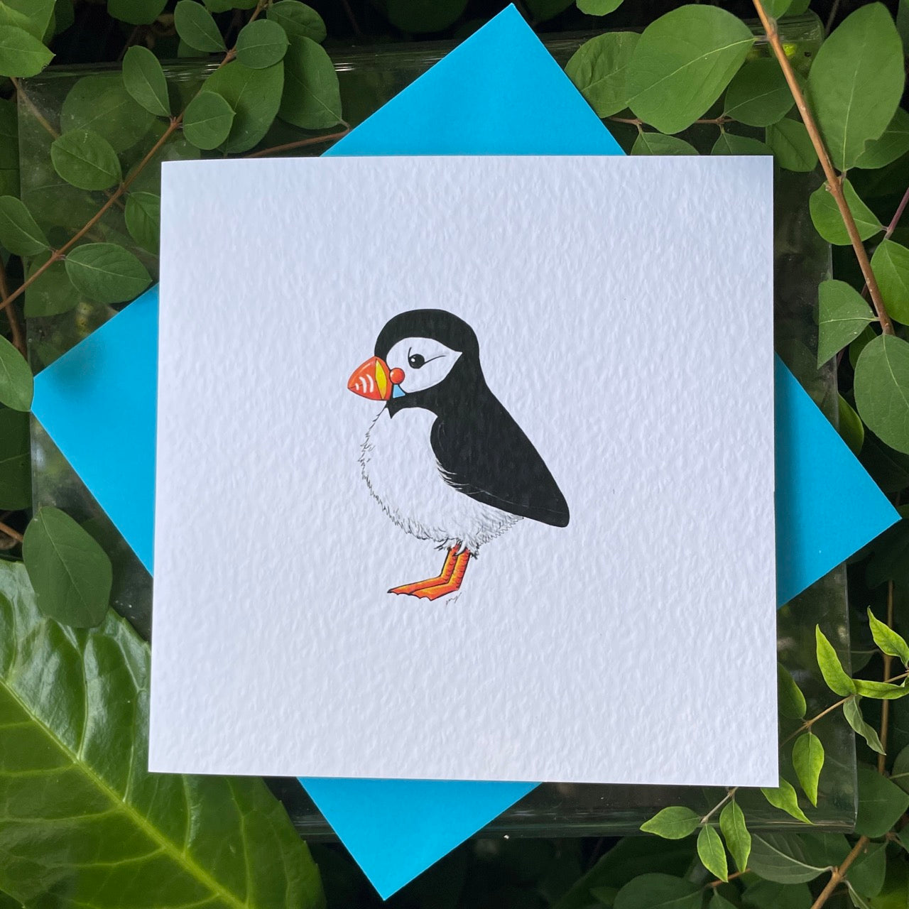 Card~Puffin