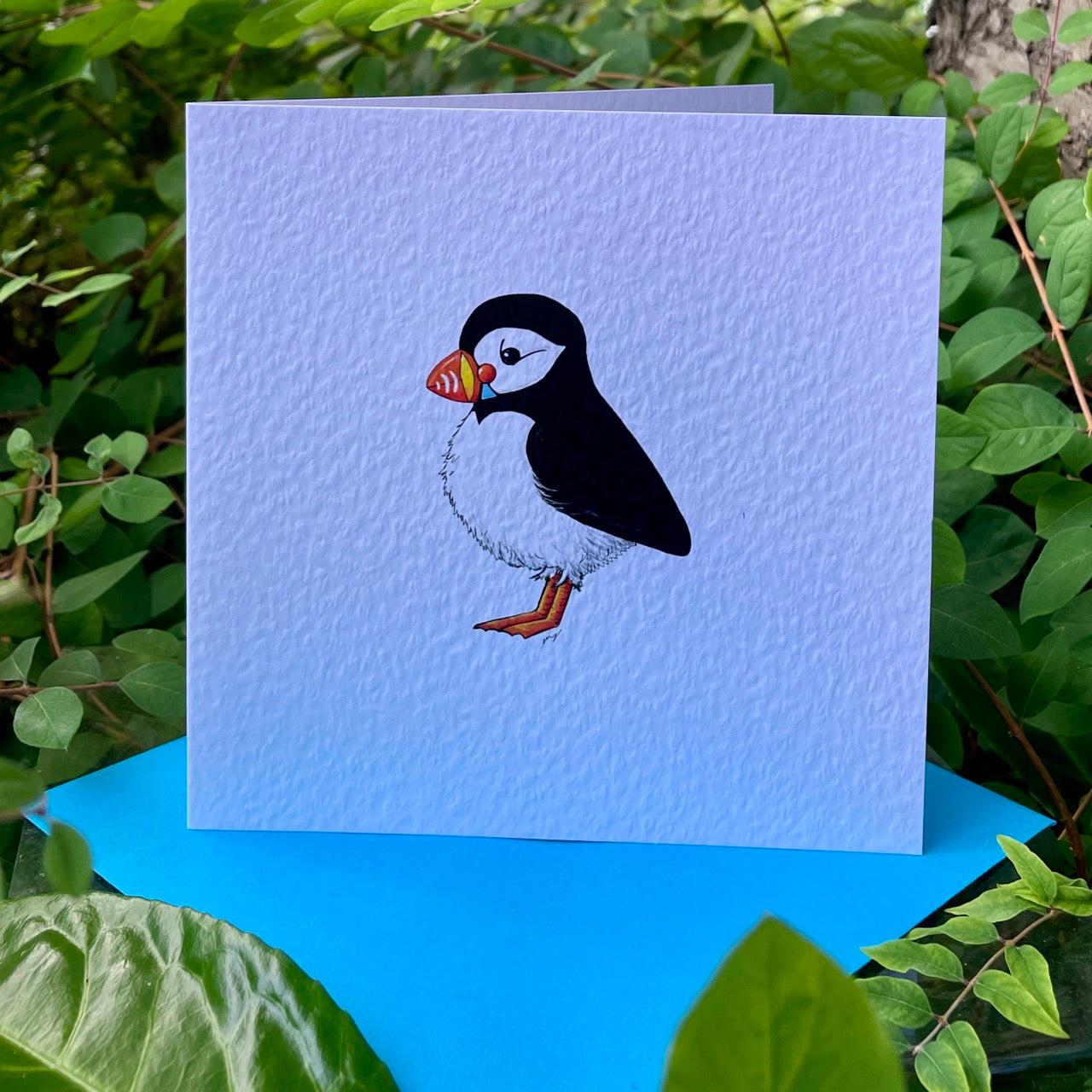 Card~Puffin