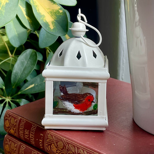 Robin~ One of a kind lantern