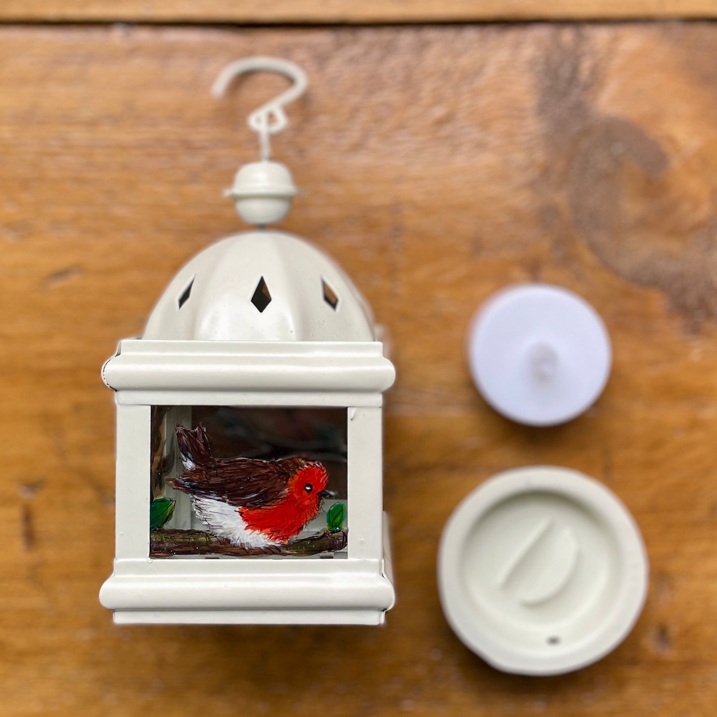 Robin~ One of a kind lantern