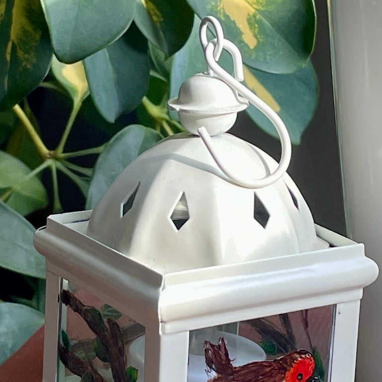 Robin~ One of a kind lantern