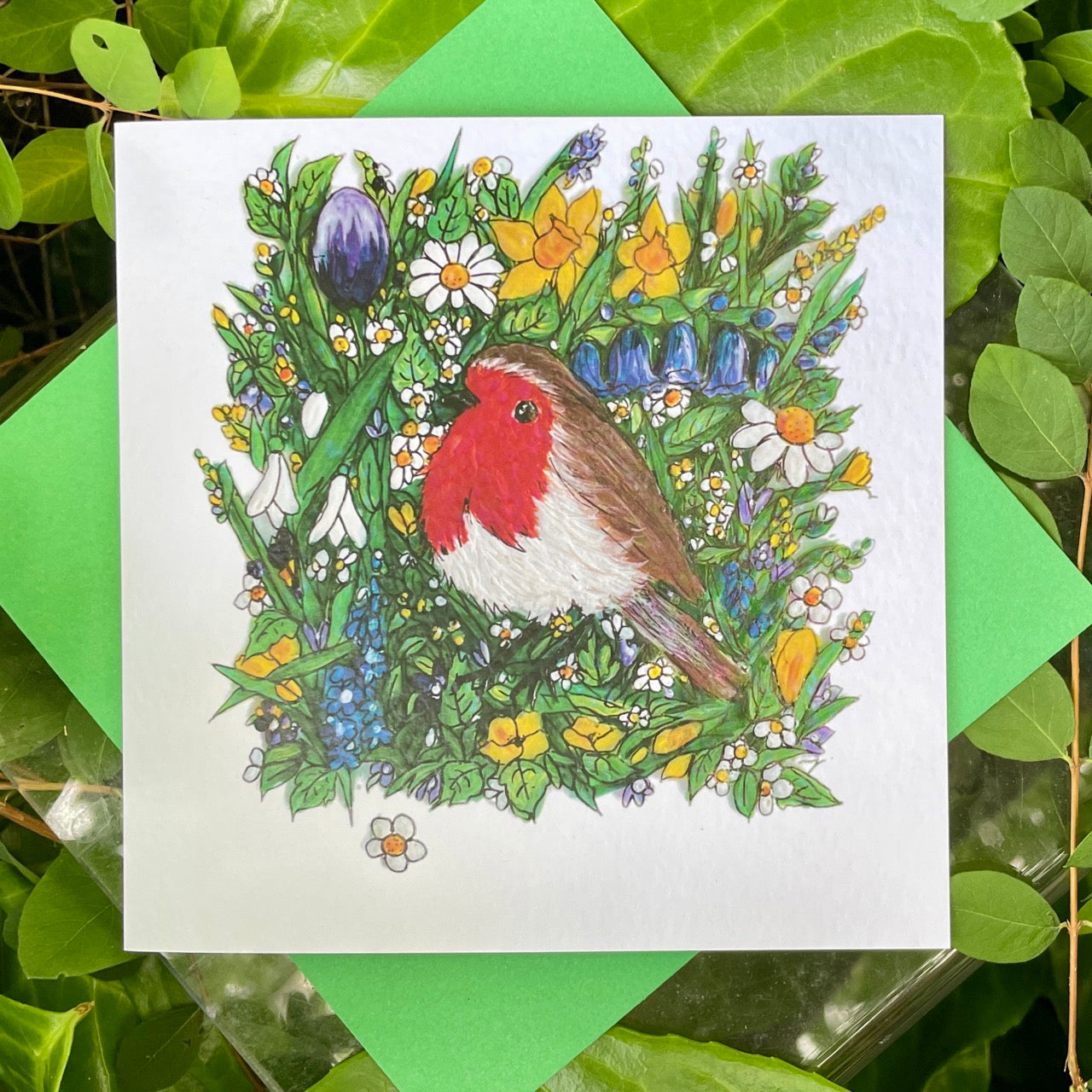 Card~Robin in Spring
