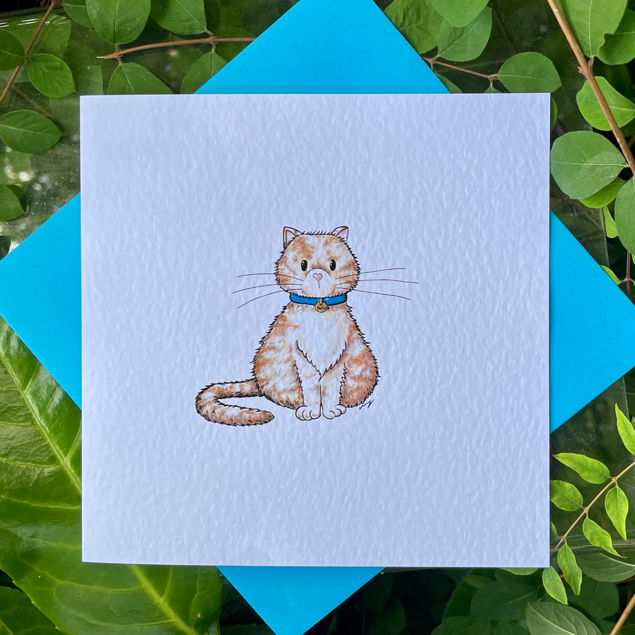 Card~Shortie the cat