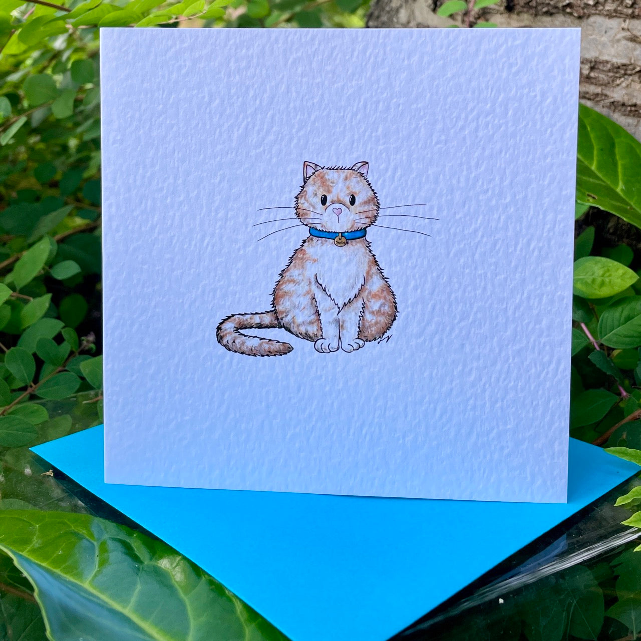 Card~Shortie the cat