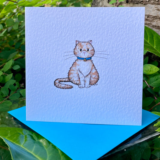 Card~Shortie the cat