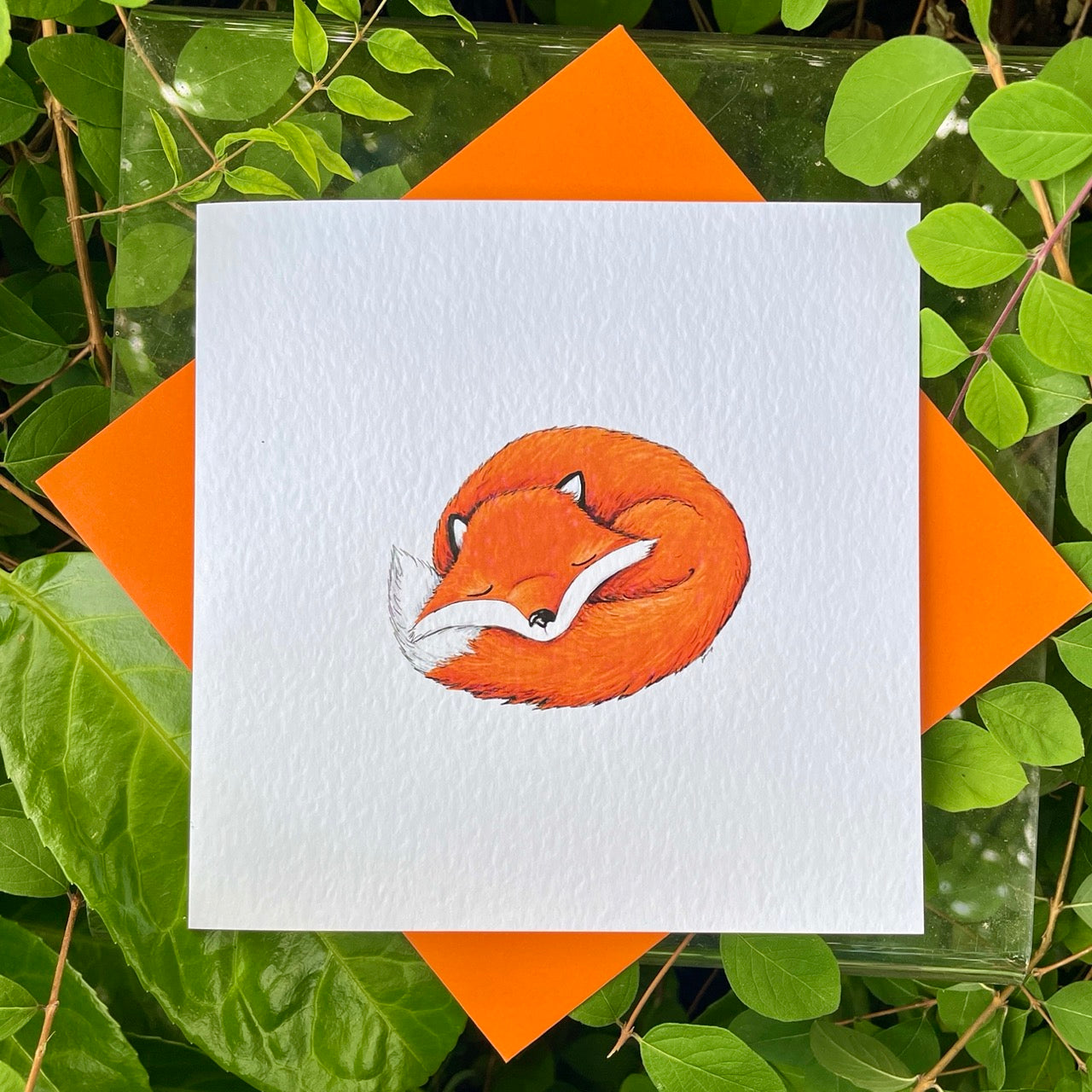 Card~Sleeping fox