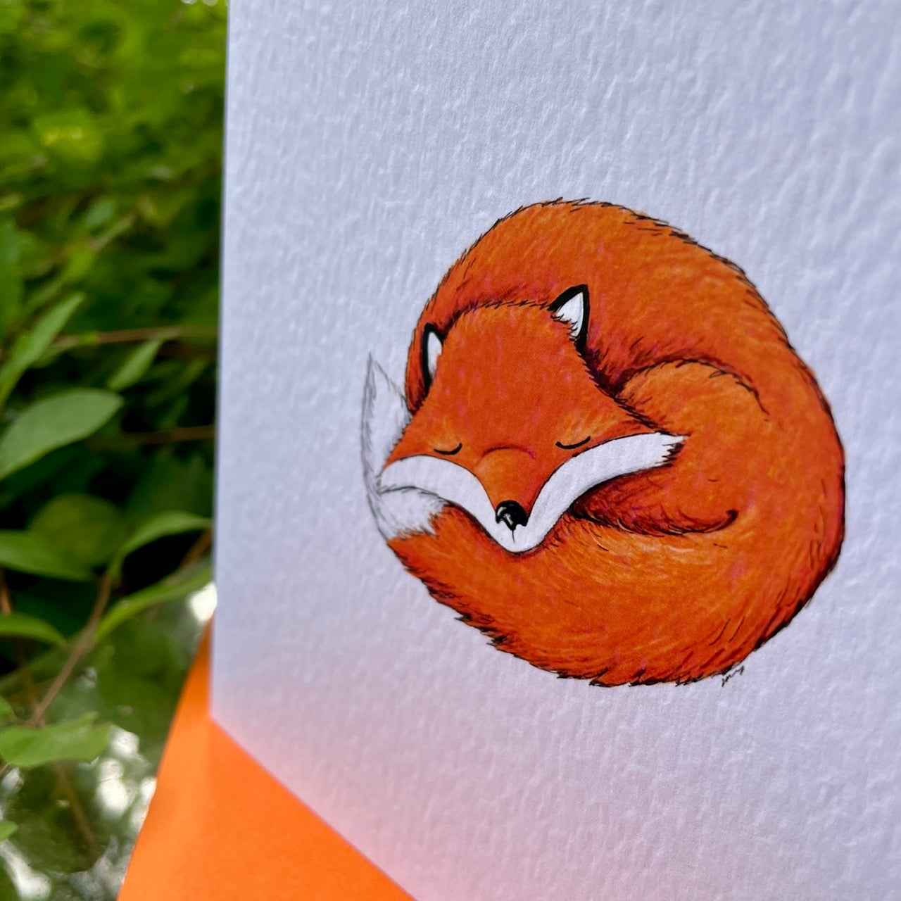 Card~Sleeping fox